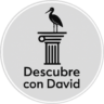 descubrecondavid.com