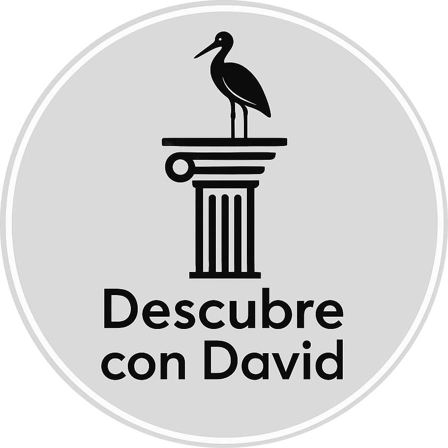 descubrecondavid.com